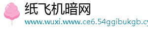 纸飞机暗网